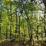 펜션 6 Person In Bindslev-by Traum *