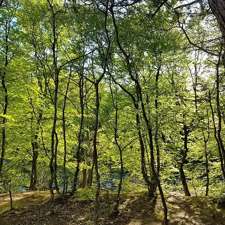 Prázdninový dům 6 Person In Bindslev-by Traum *